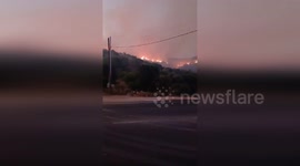 Over 200 Firefighters Battle Raging Forest Fire in Limache, Chile
