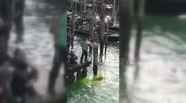 Climate Activists Turn Venice Grand Canal Green, Italy