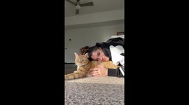 Cat Isn't in the Mood for Cuddles