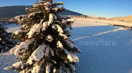 Parachutist Lands in Snowy Tree