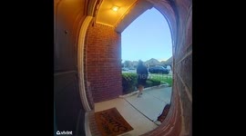 Overenthusiastic Dog Greets Owner