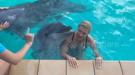 Dolphin Elated By Kisses