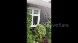 New Zealand: Violent Storm Sweeps Through Wellington, Wreaking Havoc