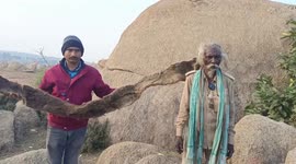Man in northern India grows eight-foot-long dreadlock