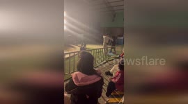 Black bear riding hoverboard attacks circus tamer in China