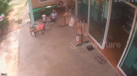 Stealthy green snake slithers past man's feet unnoticed outside store