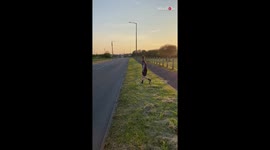 Boys flooding with excitement while welcoming daddy home after 2 weeks
