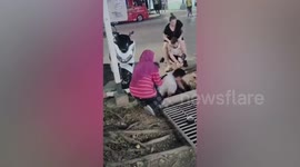 Kind German tourist saves stray kitten that slipped through drain grates