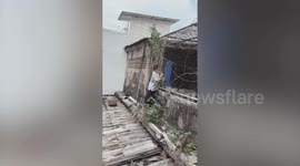Neighbours save kitten with plastic water bottle stuck on its head