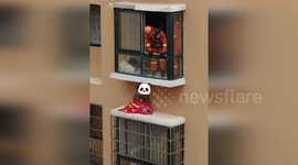 Boy stuck on 13th floor window ledge rescued by firemen in China