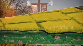 Rural Art Style: Farmer painters thrive in east China village