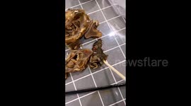 Customer discovers alleged half mouse in takeaway food in China