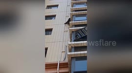 Escaped baby gorilla seen climbing block of flats in China