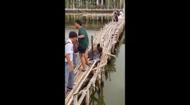 Bamboo bridge mishap: laughter ensues as friend's fishing attempt takes an unexpected plunge