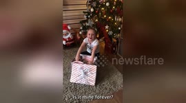 Receiving Puppies For Christmas