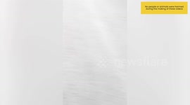 Top 17 Instant Regrets Caught on Camera