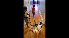 Kids Play Tug With Feisty Pup