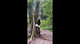 Girl slams into the ground while playing on tree rope swing