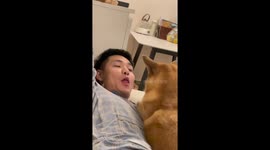 Hush puppy! Pet dog covers owner's mouth with its paws