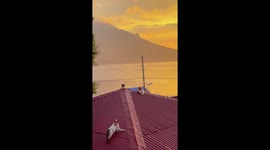 Glorious golden hour sunset illuminates bay in the Philippines