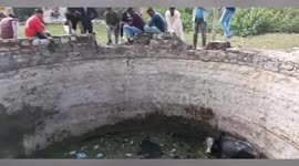 Bull rescued after it fell into well in central India