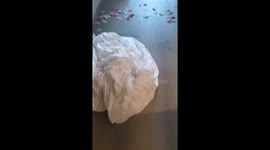 Guests Leave Huge Mess in Hotel Room