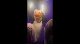Nightclub Penguin Catches Fire