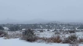 US: Warning Issued As Winter Storm Brings Inches Of Snow To Northern New Mexico