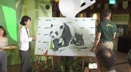 Singapore-born panda makes final appearance before returning to China