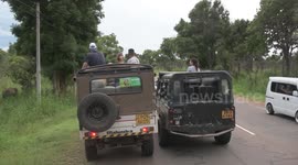 very dangerous elephant showing to tourist by Safari drivers on the road elephants crossing the road