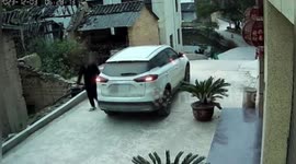 Car plunges into pond after driver forgets handbrake