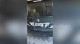 Large python curls up in family's garage as residents and pets hide inside home