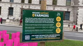 Vegans Support The Farmers place 133 wooden wellies in Parliament Square to highlight the crisis in UK farming