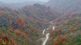 A glimpse of cafe run by Vietnamese expat in China's Qinling Mountains