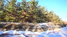 Yunmenshan Forest Park Snow Scenery in Qingzhou