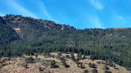 Hezbollah