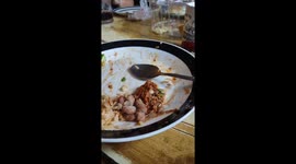 Nosy Pup Begs For Table Food