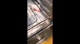 Elf On The Shelf Sentenced To The Oven
