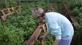 A visit to escargot farm in France