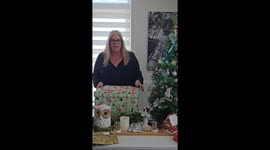 Scooter the Cat gets wrapped for Christmas (Box version) famous since 2017!