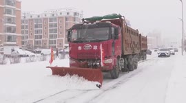 Multiple measures taken to tackle cold wave in NE China