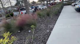 US: Fire Alarm Leads To Report Of Shooting At Florida Shopping Mall