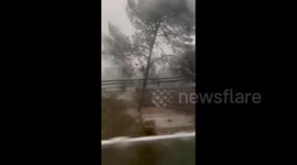 Argentina: At Least 13 Dead As Violent Storm Batters Bahía Blanca 3