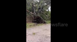Argentina: Deadly Storm Leaves Widespread Damage In Buenos Aires 2