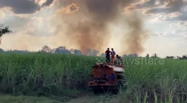 Firefighters douse rice fields as Thai farmers burn crops to clear land