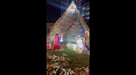 Cozy cat sleeps soundly in the Christmas Belen