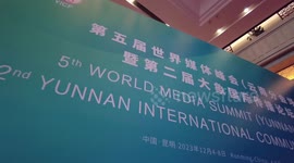 WMS conducive to deepening exchanges, cooperation: Egypt's news agency chief