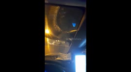 Huge python slithers over taxi parked under a tree