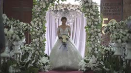Holy mogg-ramony! Stray cat runs in front of bride walking down the aisle