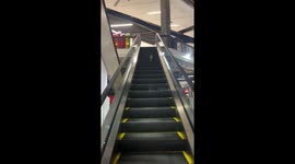 Stray cat walks the wrong way up escalator